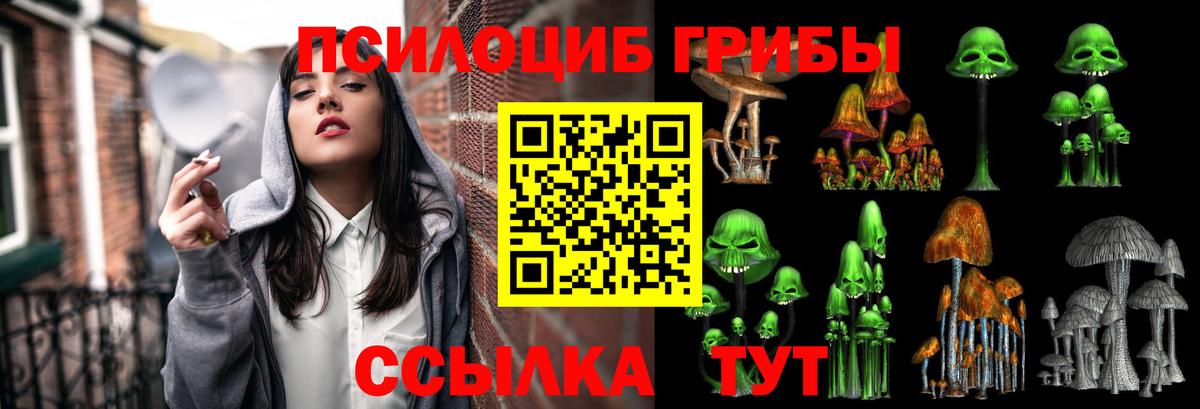 Псилоцибиновые грибы Cubensis  Галлюциногенные грибы Psilocybe  Мурманск 