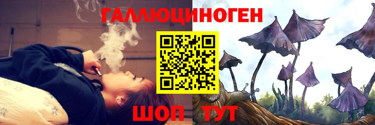 Мурманск  Псилоцибиновые грибы мухоморы  как найти закладки  Вход с VPN 